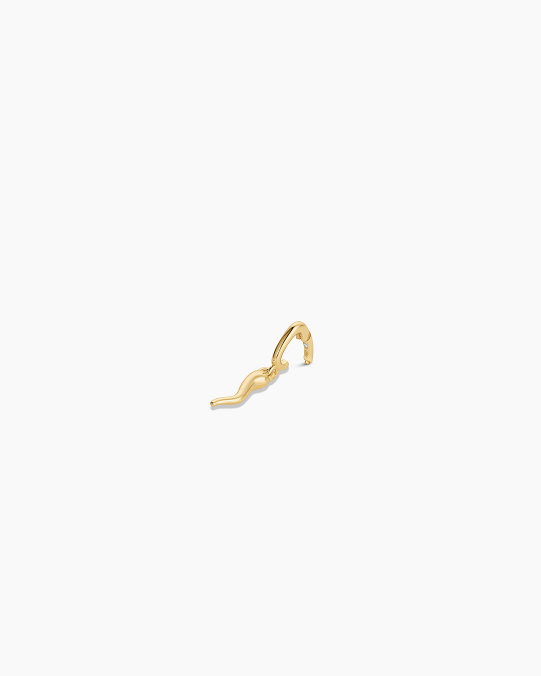 Italian Horn Parker Charm