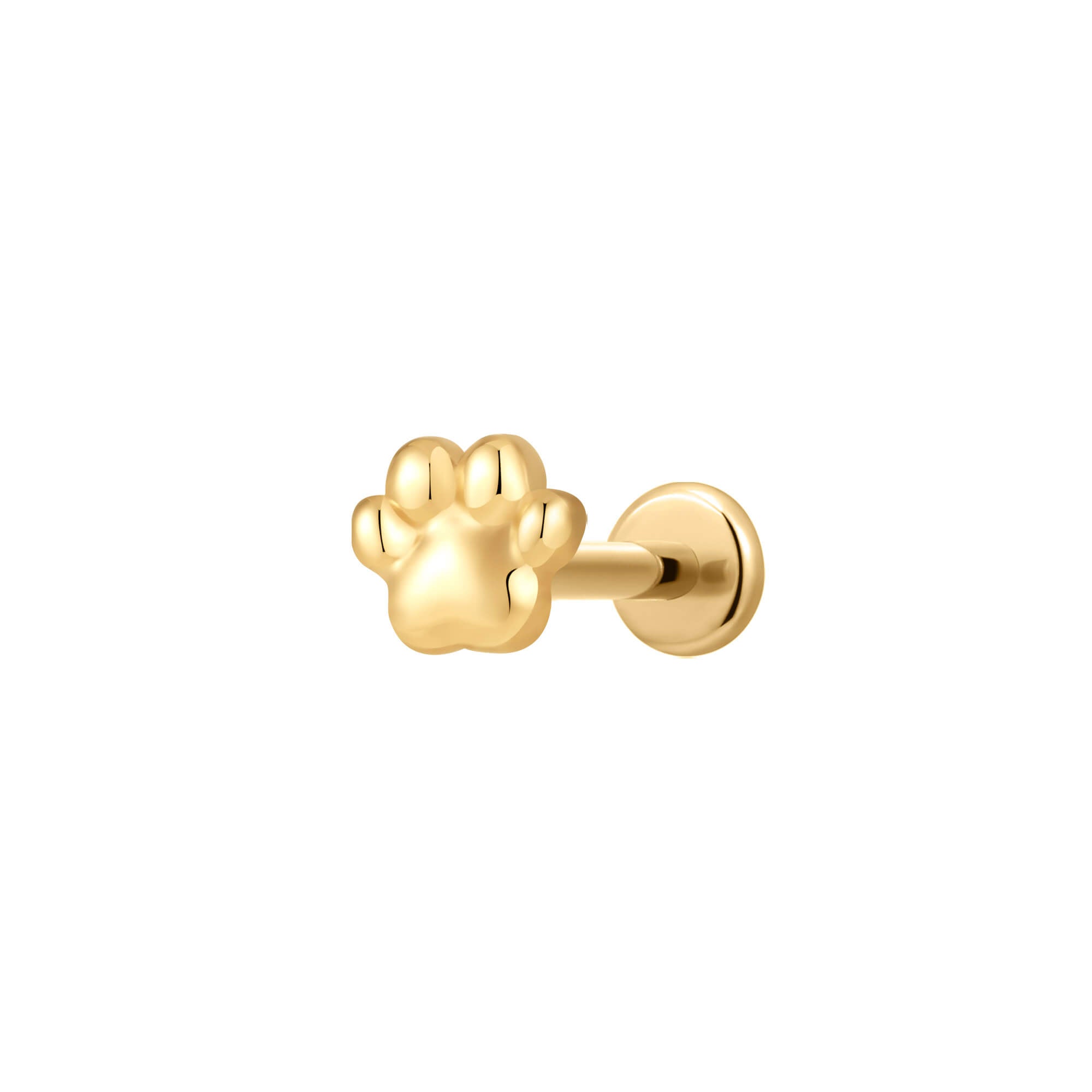 Plain Paw Piercing